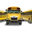 our buses