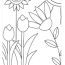 iris coloring page free flowers