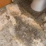 how to clean and restore terrazzo tiles