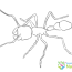 ants coloring pages archives learn