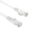 cat 6 ethernet cable with snagl sales