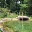 23 natural swimming ponds and pools