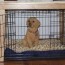 wood dog crate table ideas on foter