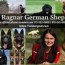 best family dog german shepherd breeder