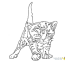 cat coloring pages kiddo