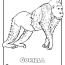 animals in rainforest coloring page
