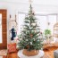 28 christmas tree color scheme ideas