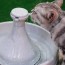 9 diy cat water fountains you can build