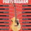 parts of the guitar anatomy lesson
