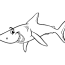 shark coloring pages gift of curiosity