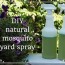 homemade organic mosquito yard spray