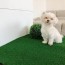 diy dog grass box project full video