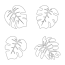 16 best palm leaf template printable
