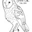 barn outline barn owl colouring page by