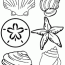 free coloring pages of seashells