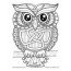 celtic owl coloring page