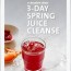 3 day juice cleanse for spring raw