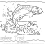 rainbow trout coloring page rainbow