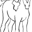 foal coloring page art starts