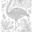 zentagle flamingo coloring pages for adults