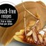 peanut butter bait for roaches