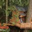 build a tiny house in the trees with