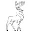 top 20 deer coloring pages for your