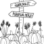 free printable pumpkin patch coloring