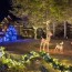 outdoor christmas lights ideas to use