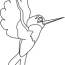 drawing humming bird 3810 animals