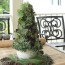 succulent christmas tree centerpiece