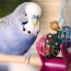 5 cheap diy bird toys you can make at home