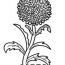 flowers coloring pages sheets