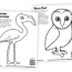 flamingo and barn owl coloring pages in