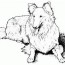 realistic dog coloring pages coloring