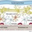 blood brain barrier a review of its