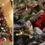 types of christmas trees live and
