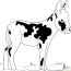 miniature donkey coloring page free