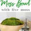 how to make a moss bowl with live moss