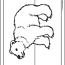 bear outline coloring page