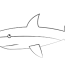 simple shark coloring page free