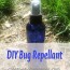 diy bug spray creative home keeper