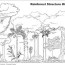 free rain forest trees coloring page