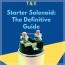 starter solenoid the definitive guide