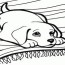 free printable colouring pages dogs