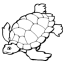 green sea turtle coloring pages