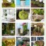 party junk 181 diy moss projects