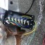 swapping to a junction box the hull