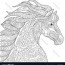 mustang horse coloring page royalty