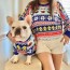 christmas sweaters for dogs